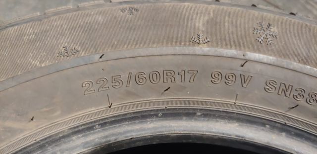 Sunny SN3830 225/60 R17 99V