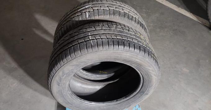 Nokian Tyres WR A3 225/55 R16 99V