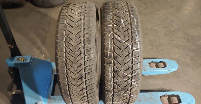 Vredestein Wintrac Xtreme S 225/55 R19 99V