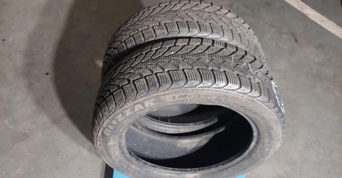 Bridgestone Blizzak LM-32 195/55 R16 87H