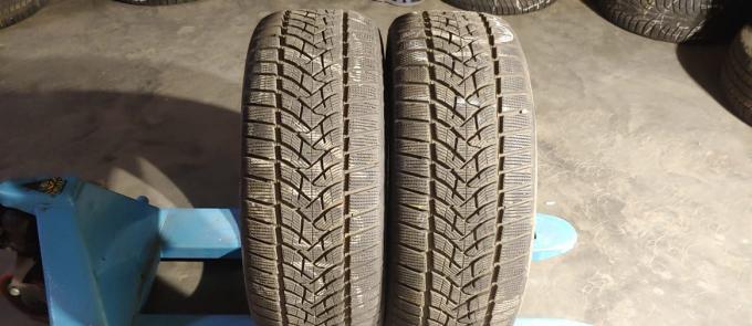 Dunlop Winter Sport 5 SUV 255/50 R19 107V