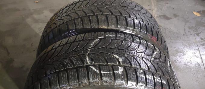 Bridgestone Blizzak LM-80 Evo 265/50 R20 107V