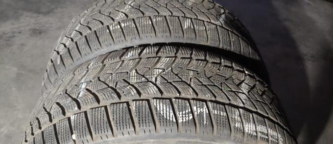 Dunlop Winter Sport 5 SUV 255/50 R19 107V