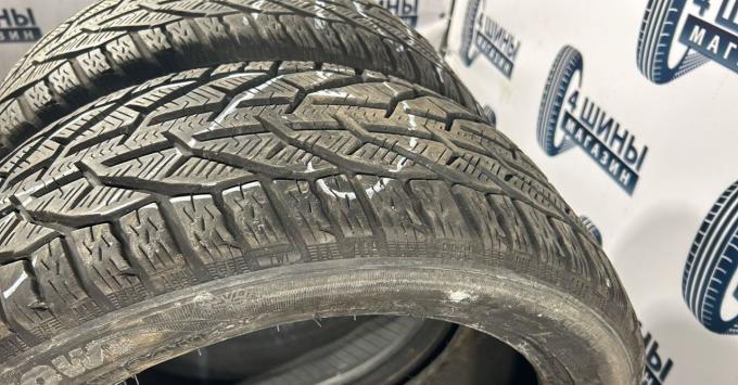 Riken Snow 225/45 R17 91H