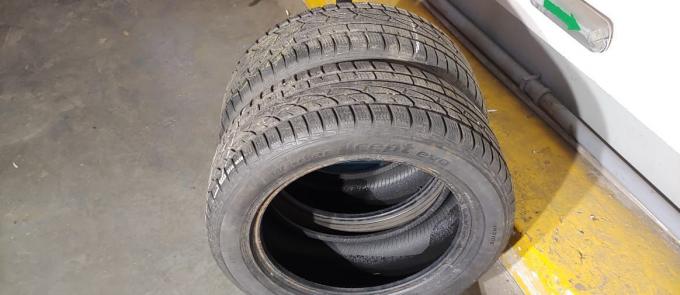 Hankook Winter I'Cept Evo 225/55 R17 101V