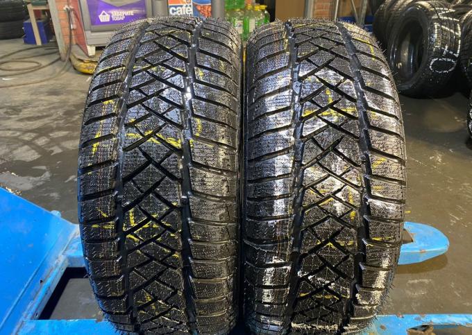 Dunlop SP Winter Sport M2 225/55 R16 95H