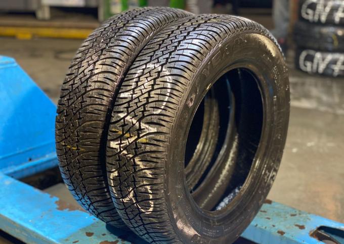 Goodyear Cargo Vector 2 165/65 R13 77T