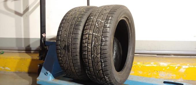 Hankook Winter I'Cept Evo 225/55 R17 101V