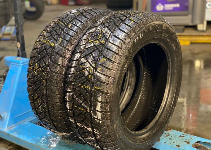 Dunlop SP Winter Sport M2 225/55 R16 95H