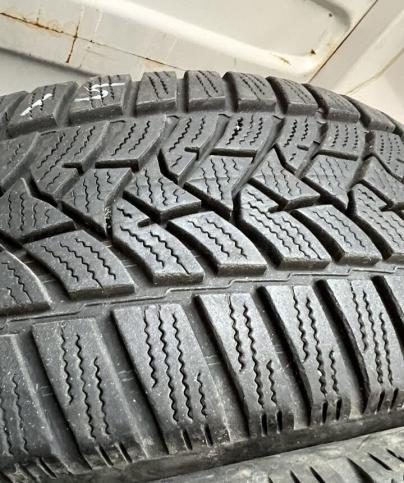 Dunlop Winter Sport 5 195/65 R15