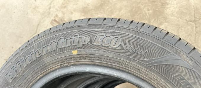 Goodyear EfficientGrip Eco EG01 195/65 R15