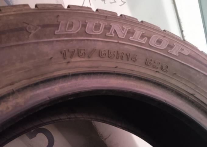 Dunlop Winter Maxx WM01 175/65 R14