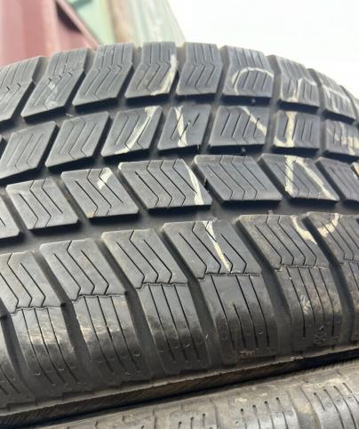 Barum Polaris 3 205/50 R16