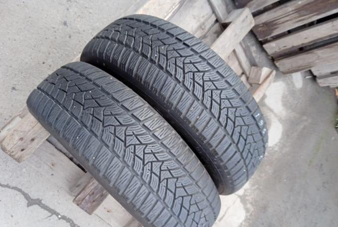 Dunlop Winter Sport 5 195/65 R15