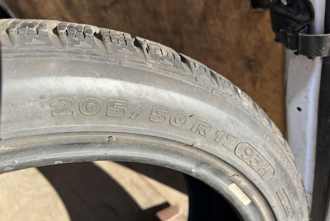 Michelin Pilot Alpin Radial XSE 205/50 R17