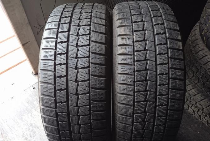 Dunlop Winter Maxx WM01 225/55 R17