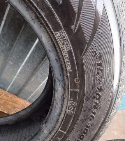 Toyo Winter Tranpath MK4a 215/70 R16