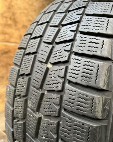 Dunlop Winter Maxx WM01 205/55 R17