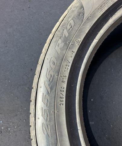 Pirelli Scorpion Winter 255/50 R19