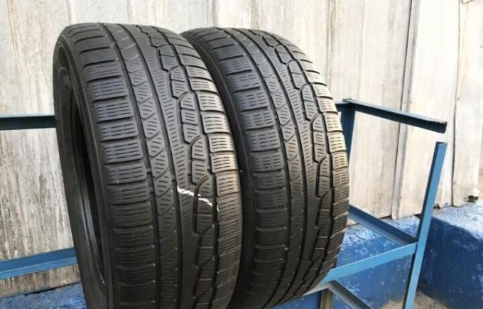 Nokian Tyres WR G2 225/55 R18