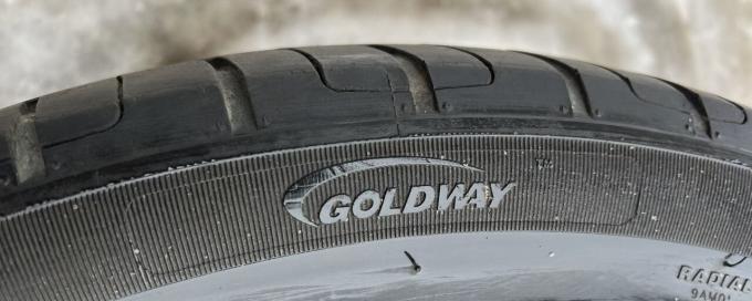 Goldway R828 295/35 R21