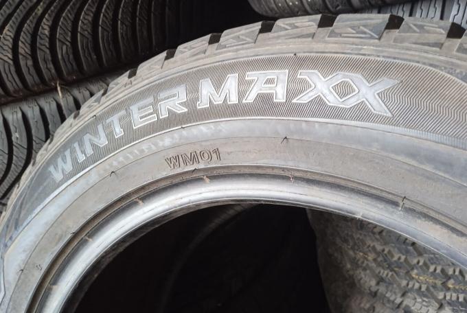 Dunlop Winter Maxx WM01 225/55 R17