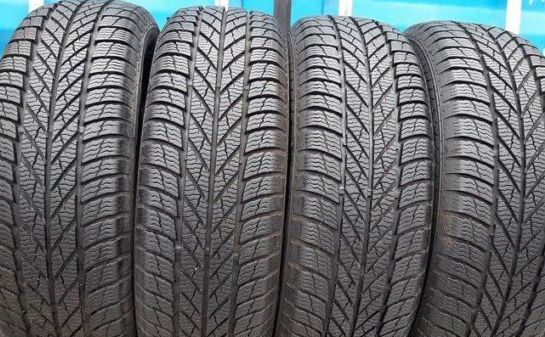 Gislaved Euro Frost 5 205/55 R16