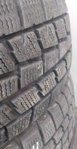 Dunlop Winter Maxx WM01 175/65 R14