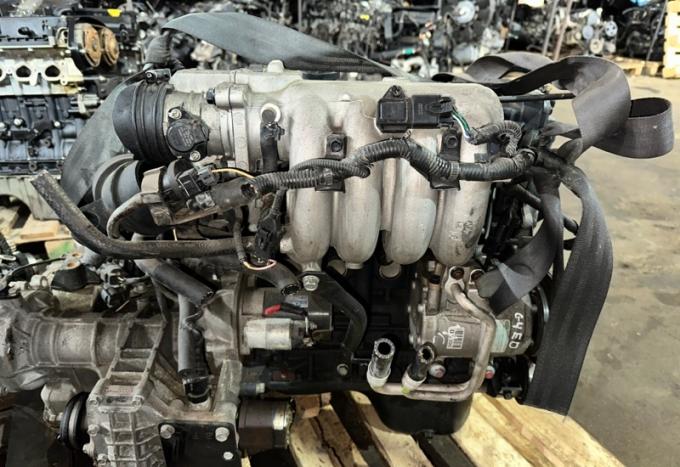 Двигатель Hyundai Accent Elantra 1.6 G4ED KZ38502100