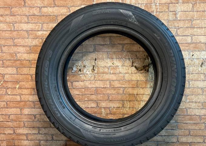 Dunlop Graspic DS3 205/60 R16