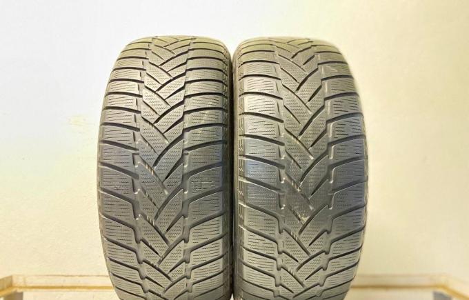 Dunlop Grandtrek WT M3 255/50 R19